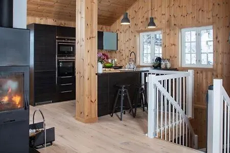 度假居 Modern Mountain With Views At Filefjell Tyinkrysset